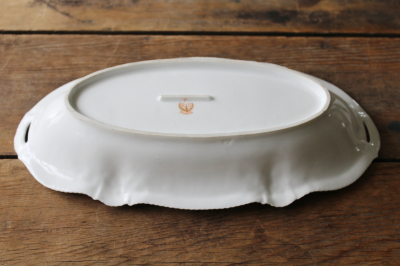 photo of turn of the century antique RS Prussia china dish, woodland leaves hand painted oval celery tray  #4