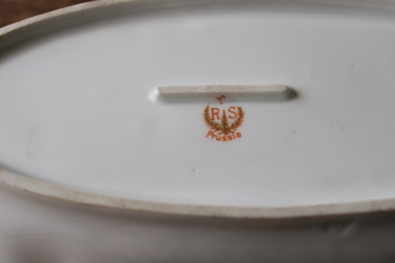 photo of turn of the century antique RS Prussia china dish, woodland leaves hand painted oval celery tray  #5