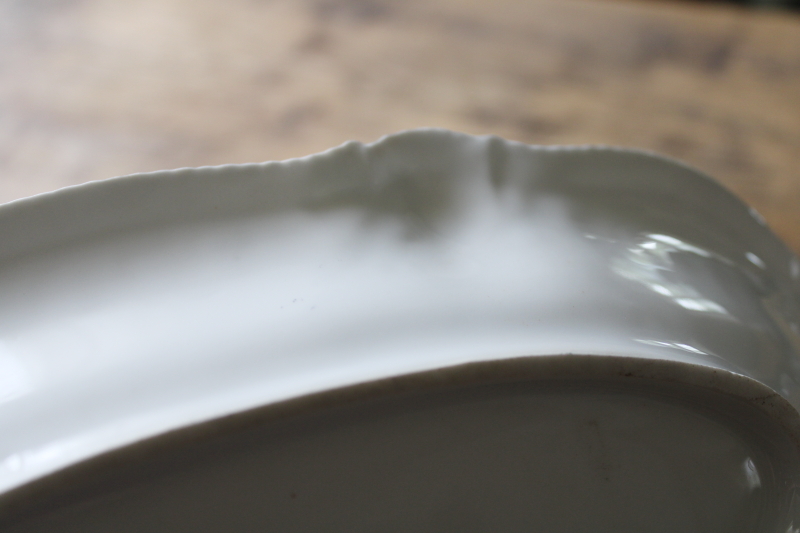 photo of turn of the century antique RS Prussia china dish, woodland leaves hand painted oval celery tray  #6
