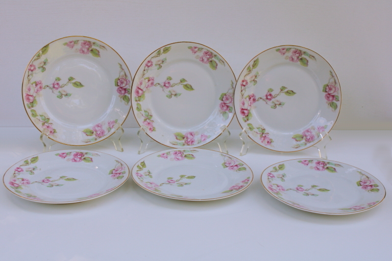 photo of turn of the century vintage Bavaria china salad plates w/ pink roses floral, Z S & Co set of 6 #1