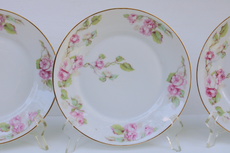 photo of turn of the century vintage Bavaria china salad plates w/ pink roses floral, Z S & Co set of 6  #2