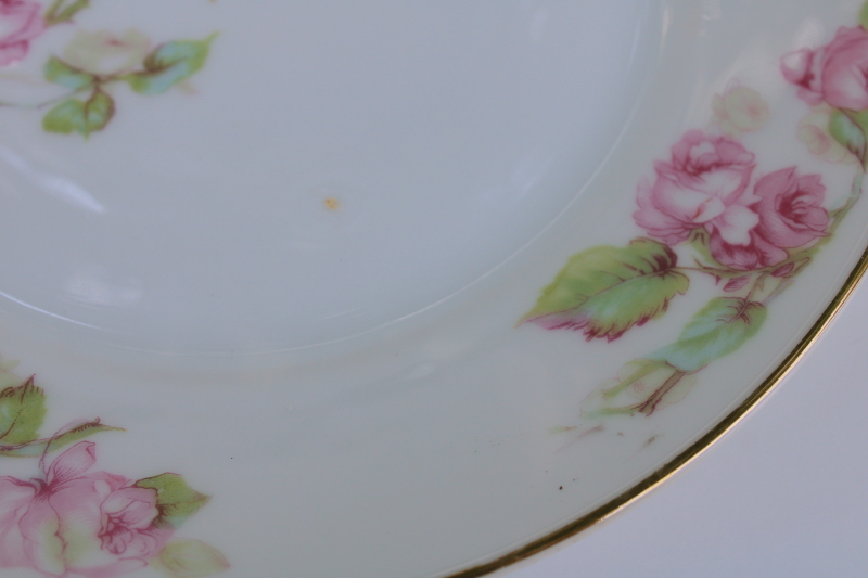 photo of turn of the century vintage Bavaria china salad plates w/ pink roses floral, Z S & Co set of 6  #4