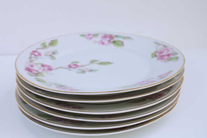 photo of turn of the century vintage Bavaria china salad plates w/ pink roses floral, Z S & Co set of 6  #7