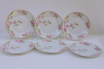 catalog photo of turn of the century vintage Bavaria china salad plates w/ pink roses floral, Z S & Co set of 6 