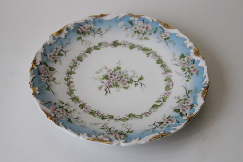 photo of turn of the century vintage hand painted china plate T&V Tressemanes and Vogt Limoges France #1