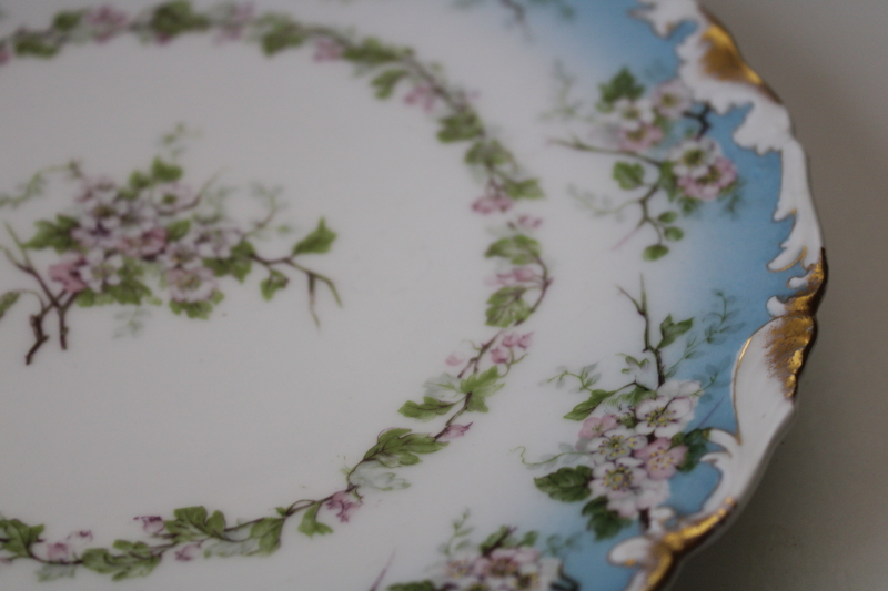 photo of turn of the century vintage hand painted china plate T&V Tressemanes and Vogt Limoges France #2