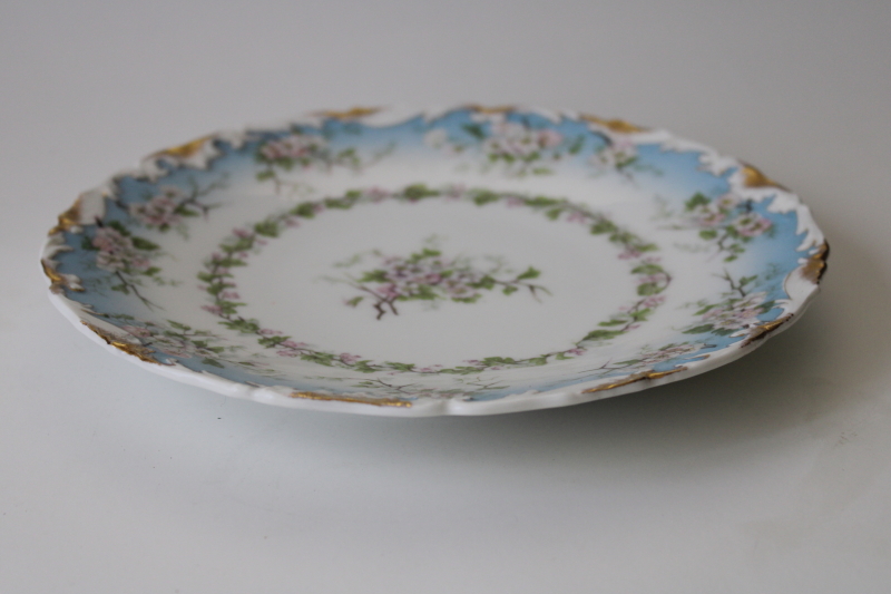 photo of turn of the century vintage hand painted china plate T&V Tressemanes and Vogt Limoges France #3