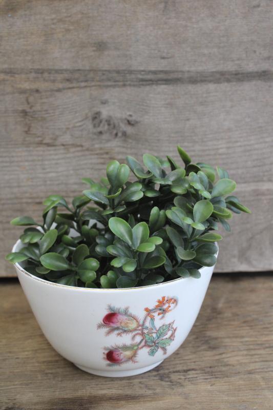 photo of turn of the century vintage moss rose pattern cranberry bowl, antique china #6