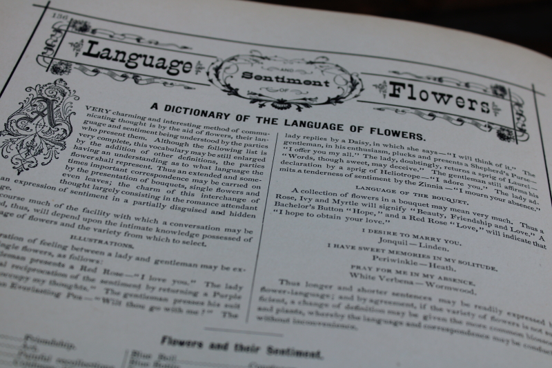 photo of two big antique books of Victorian era proper manners & etiquette, social & business forms, writing letters  #13