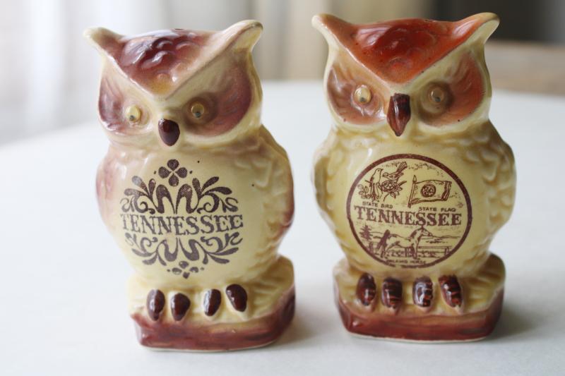 photo of two googly eyed owls, vintage Japan ceramic S&P shakers souvenir of Tennessee #2