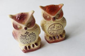 photo of two googly eyed owls, vintage Japan ceramic S&P shakers souvenir of Tennessee