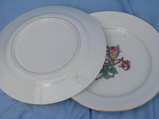 photo of unmarked Haviland china moss rose center salad plates, antique set of 12 #3