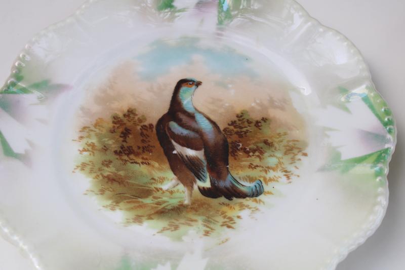 photo of unmarked antique lusterware plates w/ game birds, Limoges, Austria, Bavaria? #8