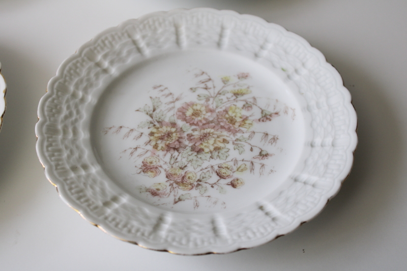 photo of unmarked old floral china plates, early 1900s vintage probably French or German #2