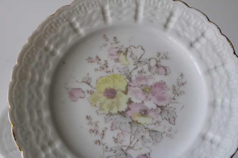 photo of unmarked old floral china plates, early 1900s vintage probably French or German #3