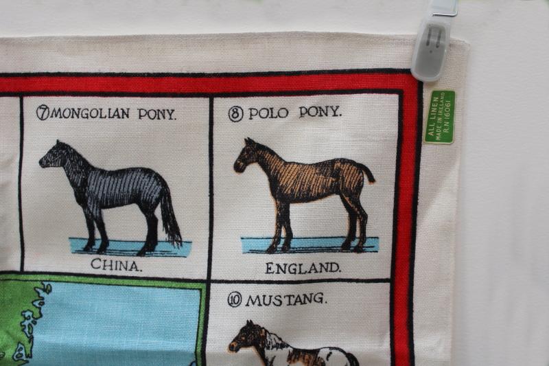 photo of unused vintage linen tea towel, Horses of the World map print horse breeds & types #2