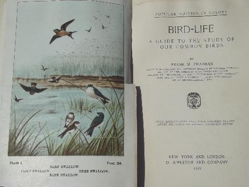 photo of vintage 1912 book Bird Life, antique color plate prints bird illustrations #2