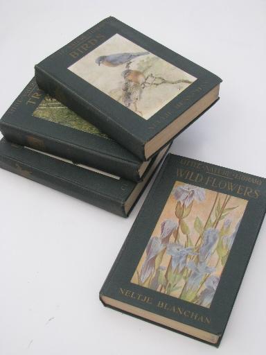 photo of vintage 1920s Little Nature Library, natural history / botanical color plates #1