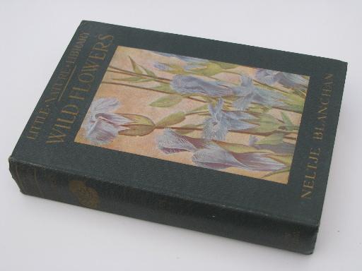 photo of vintage 1920s Little Nature Library, natural history / botanical color plates #3