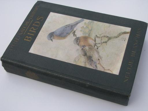 photo of vintage 1920s Little Nature Library, natural history / botanical color plates #5