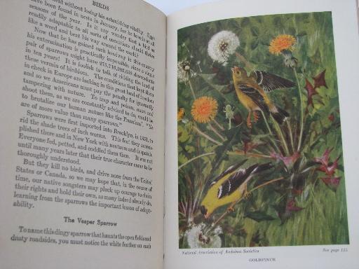 photo of vintage 1920s Little Nature Library, natural history / botanical color plates #7