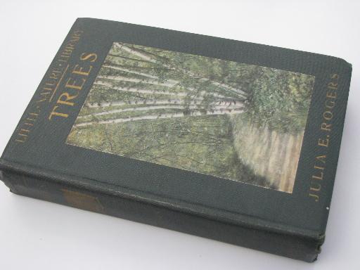 photo of vintage 1920s Little Nature Library, natural history / botanical color plates #8