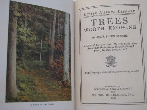 photo of vintage 1920s Little Nature Library, natural history / botanical color plates #9