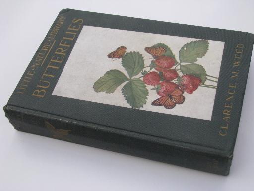 photo of vintage 1920s Little Nature Library, natural history / botanical color plates #10