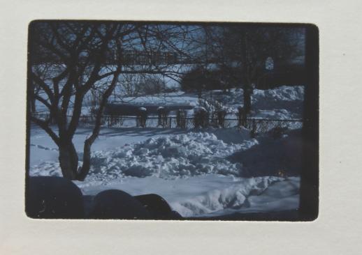 photo of vintage 35mm slides, huge estate lot of 1250 photo slides of nature, snowscapes, people, buildings etc  #9