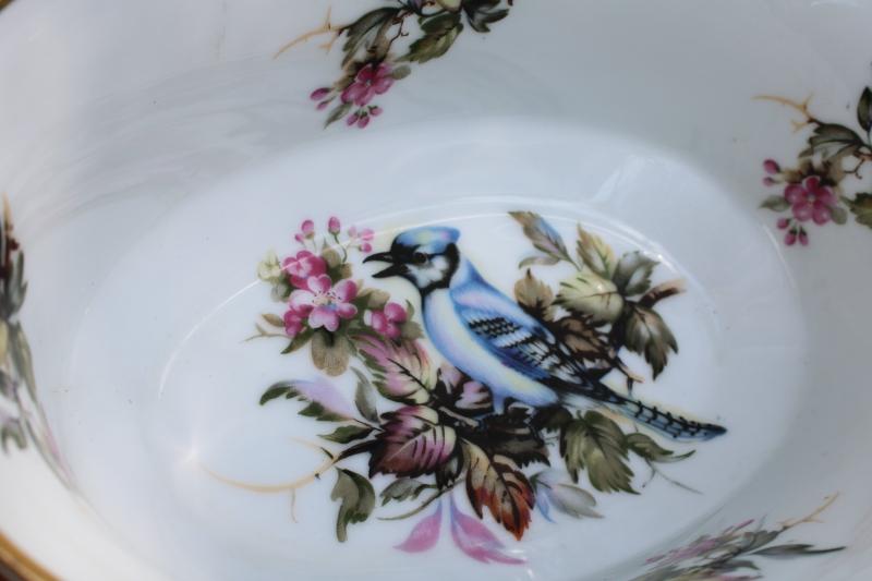 photo of vintage Andrea by Sadek - Japan china w/ birds pattern, blue jay oval bowl #5