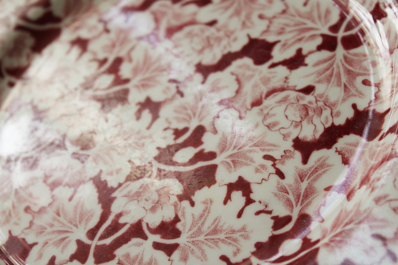 photo of vintage Arbor leaves pattern Mayer ironstone plate, red print transferware restaurant china #3