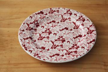 catalog photo of vintage Arbor leaves pattern Mayer ironstone plate, red print transferware restaurant china