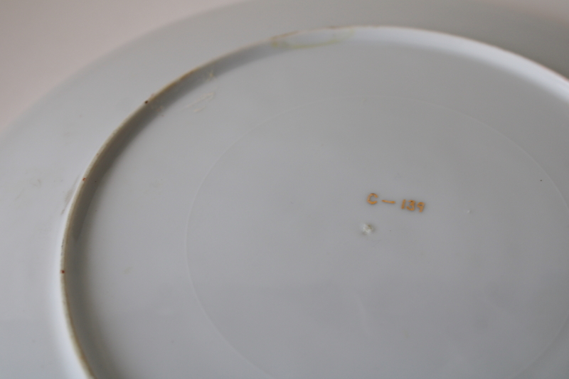 photo of vintage Arizona Saguaro cactus desert hand painted china plate, mid century travel souvenir  #6