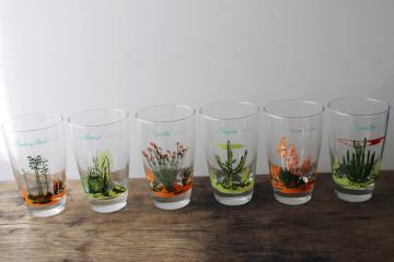 catalog photo of vintage Arizona cactus print Blakely Gas & Oil designs Libbey drinking glasses set