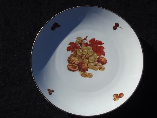 photo of vintage Bareuther Bavaria fruit china, large plates Thanksgiving fall harvest #2