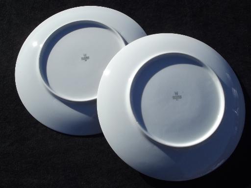 vintage Bareuther Bavaria fruit china, large plates Thanksgiving fall ...