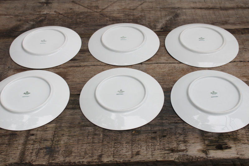 photo of vintage Bareuther Germany china plates set of 6, fall fruit & nuts each plate different #3