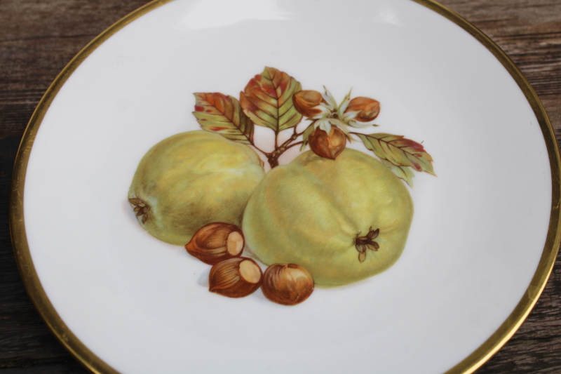 photo of vintage Bareuther Germany china plates set of 6, fall fruit & nuts each plate different #5