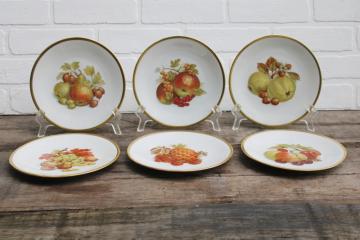 catalog photo of vintage Bareuther Germany china plates set of 6, fall fruit & nuts each plate different 