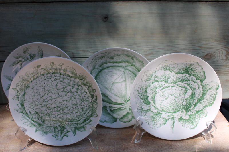 photo of vintage Bareuther china salad plates, old world potager veg botanical print in green on white #1