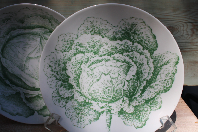 photo of vintage Bareuther china salad plates, old world potager veg botanical print in green on white #3