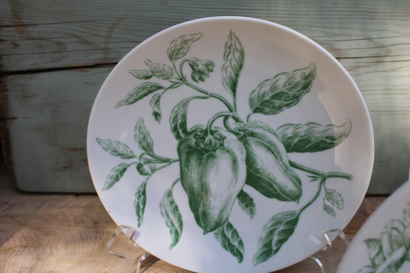 photo of vintage Bareuther china salad plates, old world potager veg botanical print in green on white #5