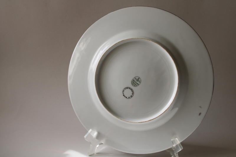 photo of vintage Bavaria porcelain dinner plate silvery encrusted platinum, ornate patterned wide band border  #6