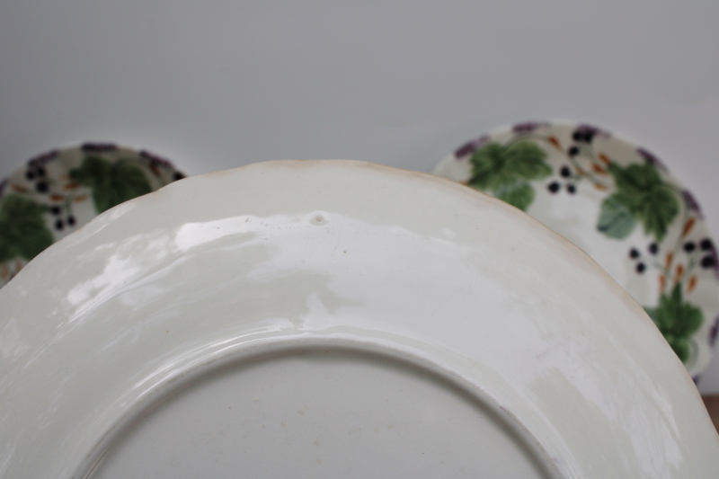 photo of vintage Blue Ridge Southern potteries hand painted plates, blueberries or huckleberry pattern #9