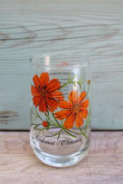 catalog photo of vintage Brockway glass Flower of the Month Cosmos print tumbler October birthday