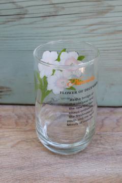 catalog photo of vintage Brockway glass Flower of the Month Narcissus print tumbler December birthday