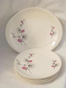 catalog photo of vintage Canonsburg china plates, pink pinecones, ponderosa pine branch