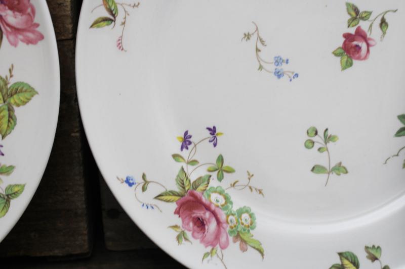 photo of vintage Canterbury floral chintz china dinner plates, American Limoges pottery  #7