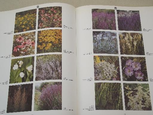 photo of vintage Color Dictionary of Flowers & Plants, Royal Horticultural Society  #6