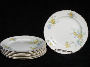 catalog photo of vintage Crown Potteries china dinner plates, forget-me-not flowers in blue & yellow